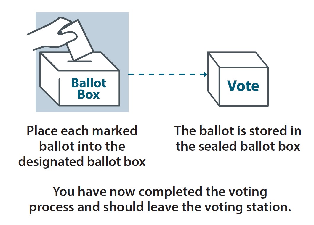 how to vote step 3