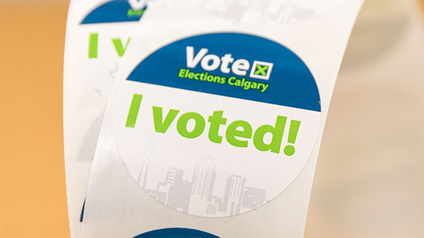 voter sticker